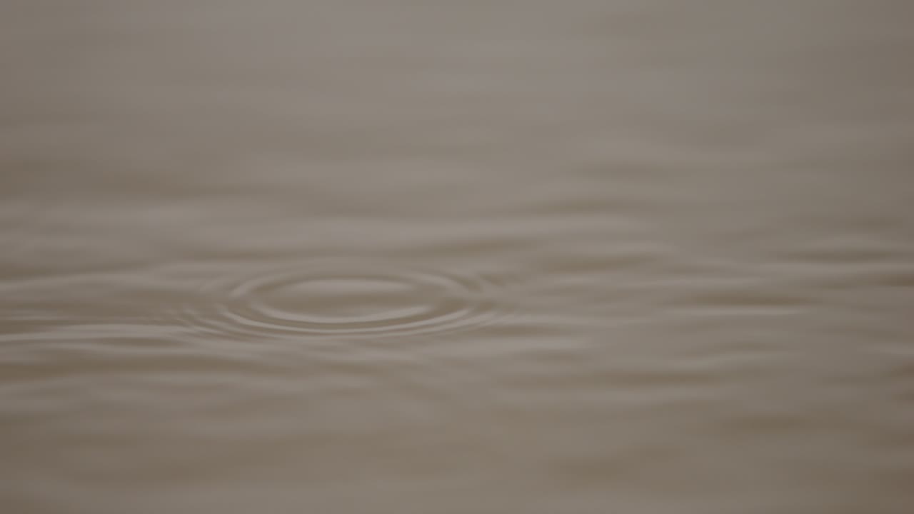 Ripples on water surface in super slow motion, captured in a nature reserve in Zeeland
