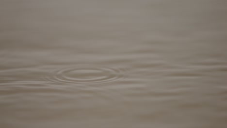Ripples on water surface in super slow motion, captured in a nature reserve in Zeeland