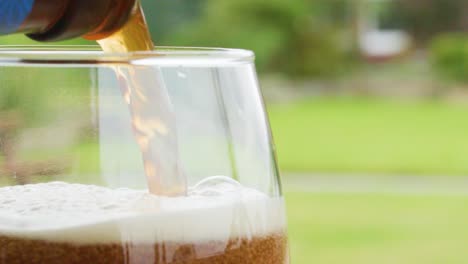 Golden beer is poured from a bottle into a clear glass, forming a thick foamy head, in a bright garden setting with soft natural light