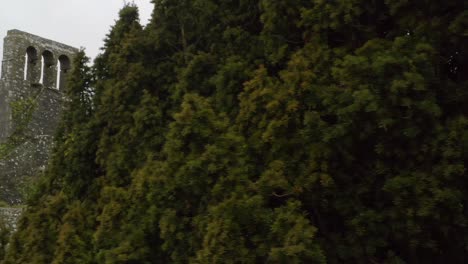 Drone-trucking-pan-reveals-cemetery-walls-and-headstones-behind-tree