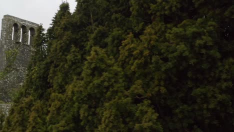 drone trucking pan reveals cemetery walls and headstones behind tree