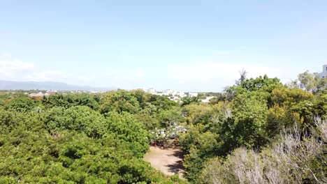 vuelo de drones sobre el bosque que muestra al fondo la ciudad de santiago de los caballeros, clima tropical sin nubes
