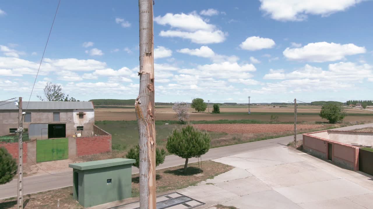 vista de un baúl con una muñeca y una bandera en la copa del árbol