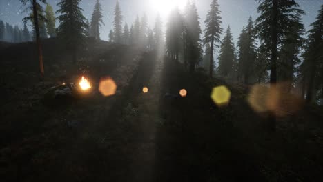 campfire at mountain rorest at night