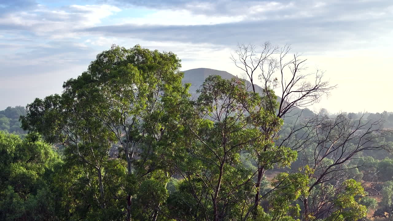 Aerial upward reveal of the iconic pyramids at Teotihuacan, Mexico, surrounded by green landscape on sunny day