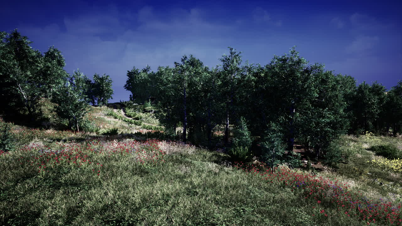 산과 어두운 파란 하늘의 여름 풍경