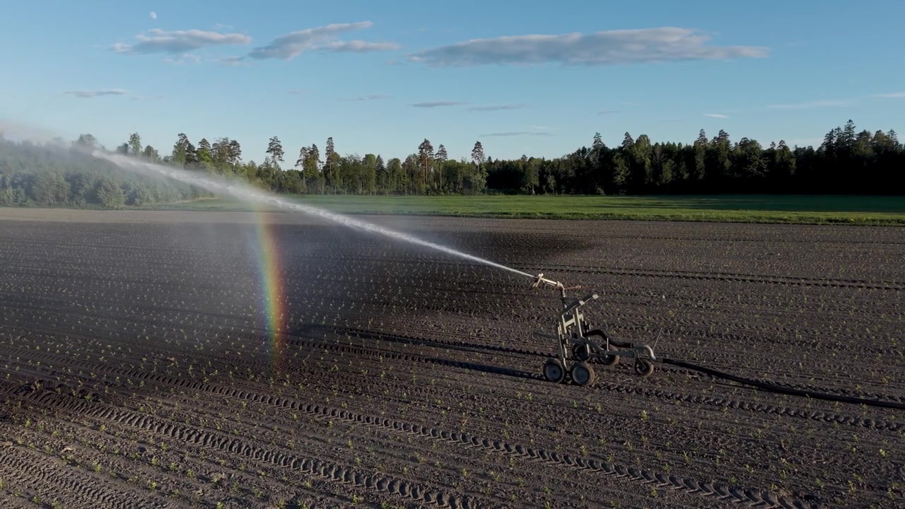 Un filmato dell'irrigatore a ruote nel campo con quel bellissimo arcobaleno che si forma nello spruzzo.