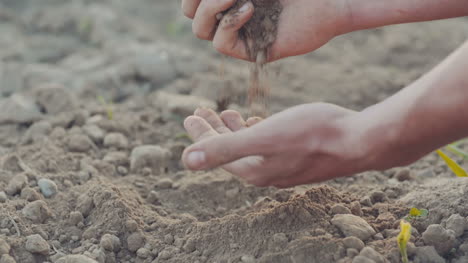 farmer pouring organic soil 3