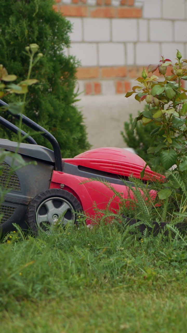 a woman is mowing the grass with a lawn mower near the house on the bckground of decorative trees in the yard Vertical video