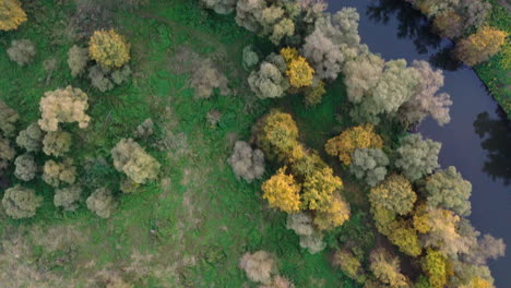 Agriculture-land-and-river-drone-view-in-autumn