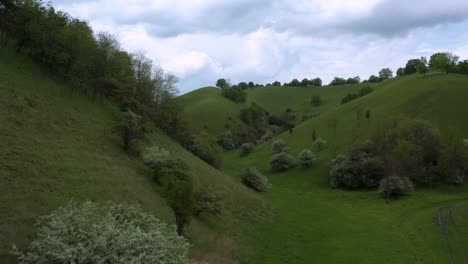 deliblato sands green rolling hills, pescara serbia, 4k aerial view