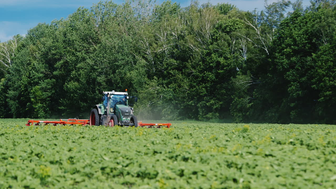 Un trattore traina nel campo un meccanismo agricolo per diserbare le piante.