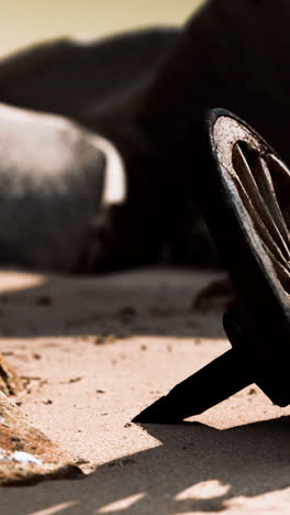 old wooden wheel on a beach