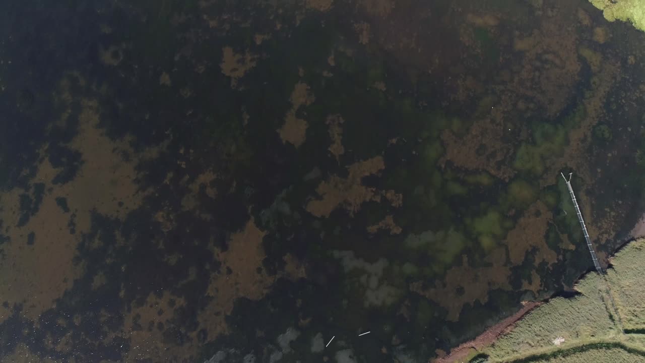 seguimiento aéreo de arriba hacia abajo sobre una península de tierra que sobresale en una laguna