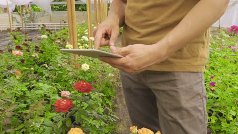 modern floristry. gardener's hand and tablet in close-up.