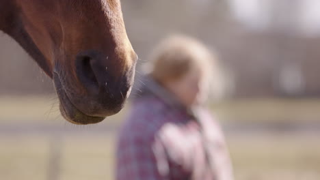 Horse-keeps-distance-from-woman-due-to-her-emotional-energy,-rack-focus