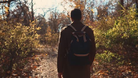 man hiking in autumn forest