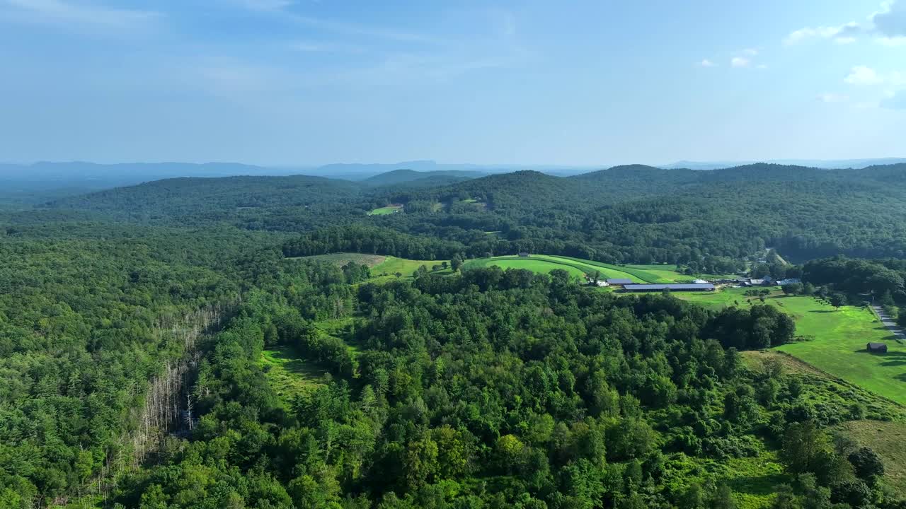 Aerial dolly over dense forest and adjacent farmland under clear blue sky