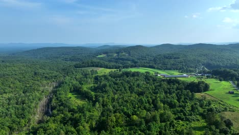 aerial dolly over dense forest and adjacent farmland under clear blue sky