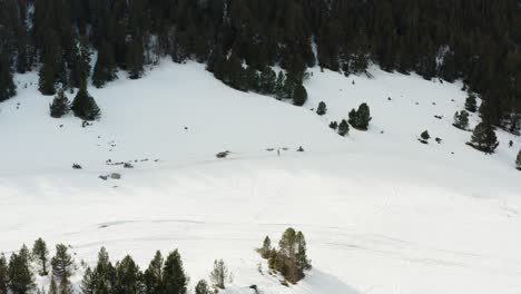 A-group-of-snowmobilers-riding-in-a-line-along-the-bottom-of-a-wooded-slope