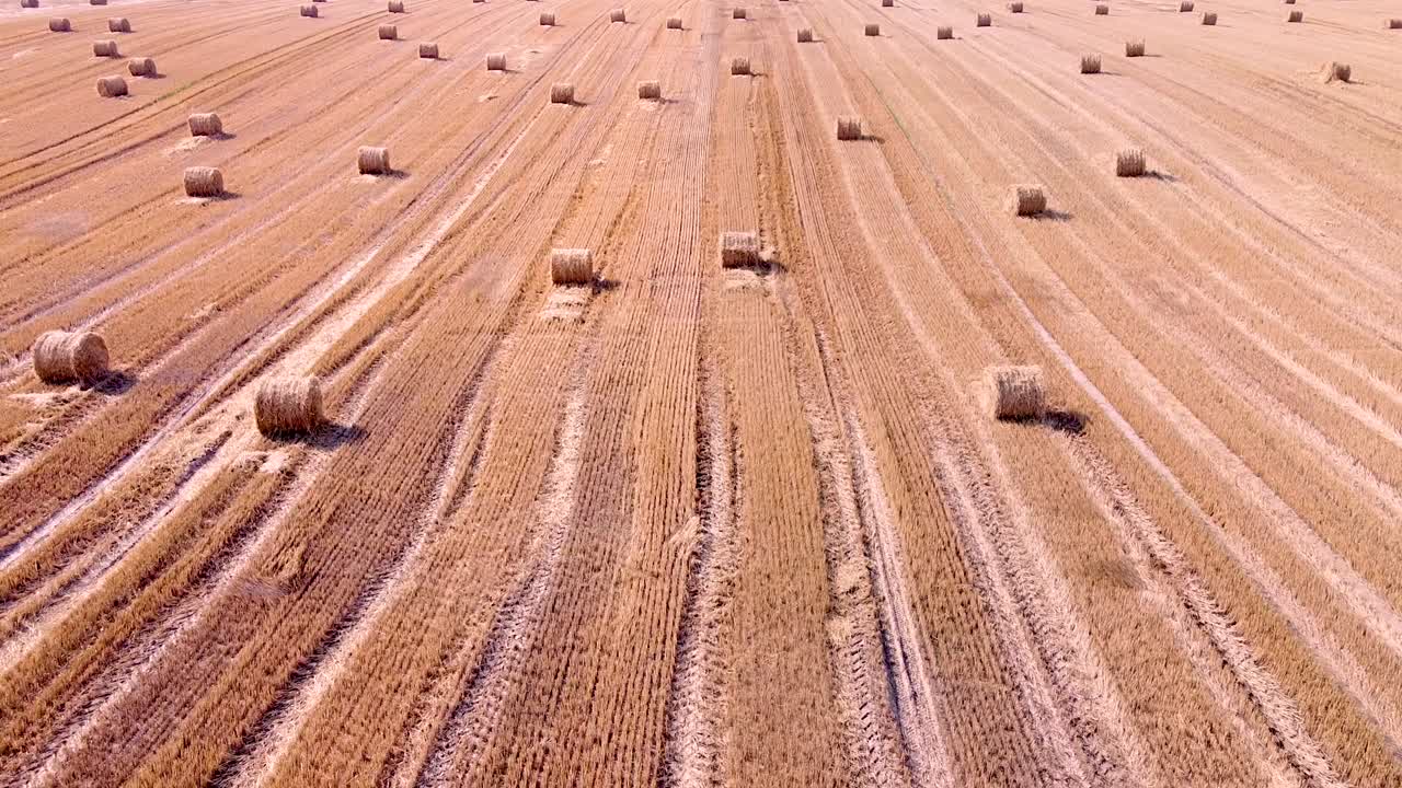 disparo aéreo pasando por un campo cosechado con balas de paja. vista de avión no tripulado.