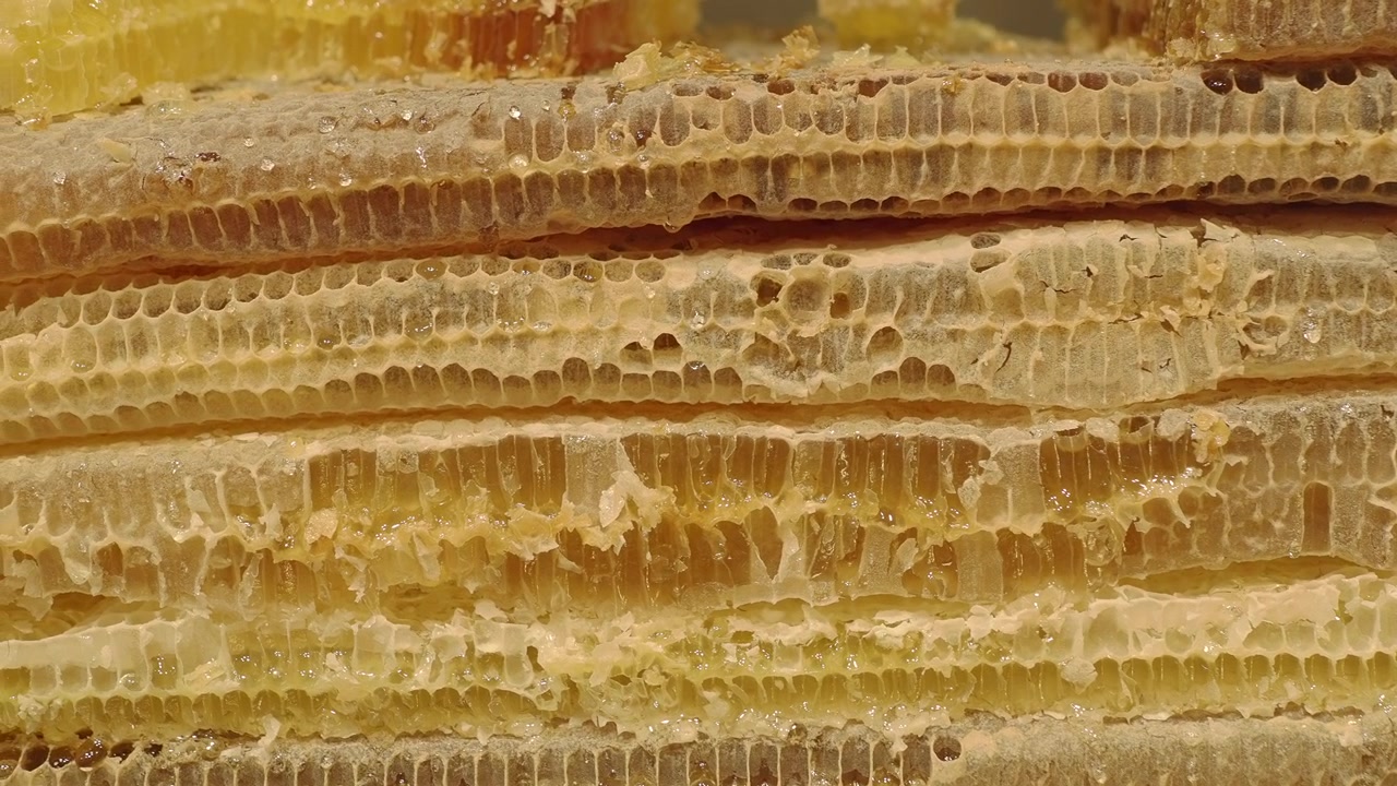 Close-up of Natural Honeycomb with Dripping Golden Honey