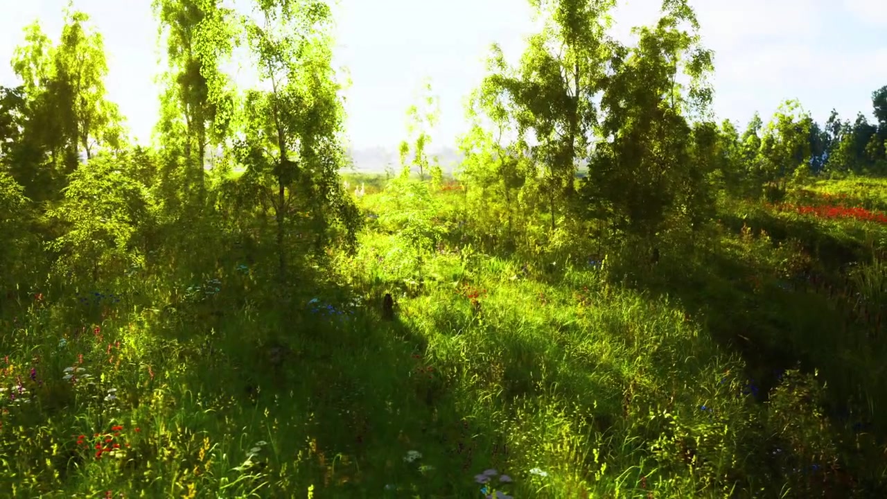 Calm countryside bathed in sunlight with dewkissed wildflowers