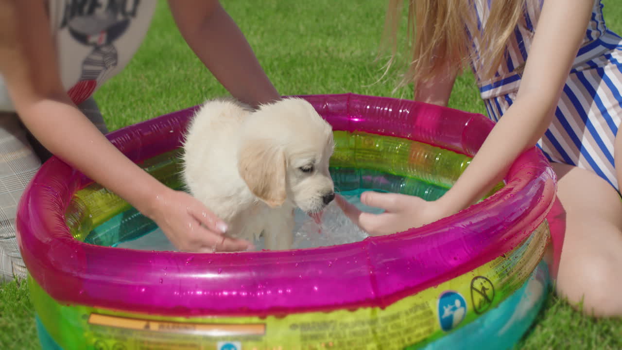 madre e hija bañan a un cachorro peludo en una pequeña piscina inflable