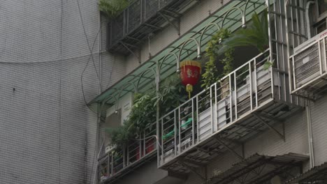 closeup cinematic shot of typical windows with green plants and a red lantern during evening in taiwan