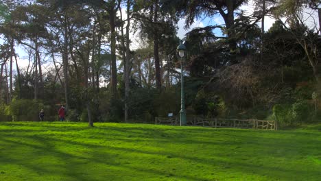 beautiful autumn scenery in parc montsouris in paris france - wide shot