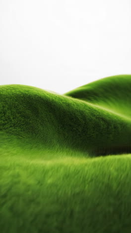 abstract close-up of green textured surface