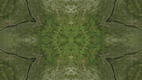 Grünes-Kaleidoskop-Mit-Waldbildern-Aus-Wissahickon-Creek,-Philadelphia,-#33