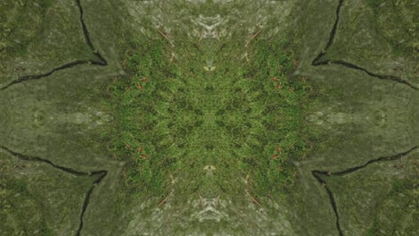 greenery kaleidoscope using forest imagery from wissahickon creek, philadelphia, #33