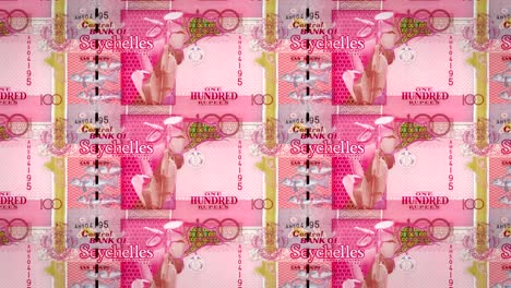 billetes de cien rupias de la isla de las seychelles, dinero en efectivo, bucle