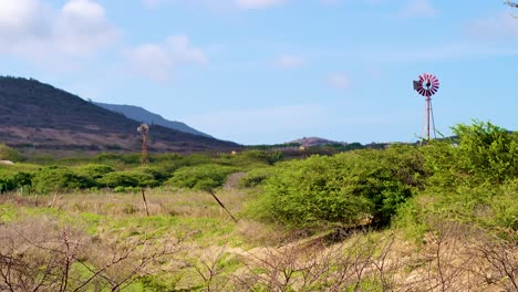 4k-60fps-tilt-down-shot-of-windpumps-standing-and-spinning-in-rural-farm-field-in-the-Caribbean