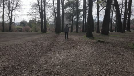 man walking into the camera alone in the woods in a park