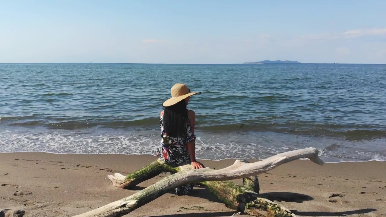 Donna seduta su un tronco portato dalla corrente in spiaggia che guarda l'oceano