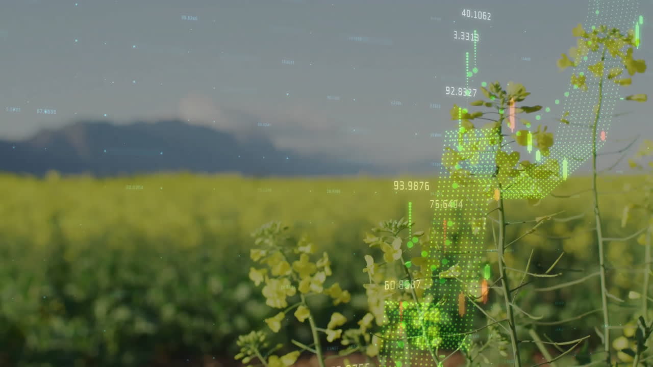 다이어그램의 애니메이션 및 현장 데이터 처리