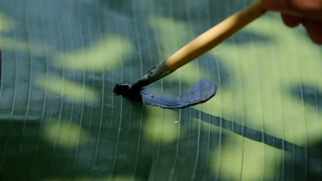 write the zen circle on the banana leaf, the nature cycle concept