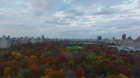 Los-Delanteros-Vuelan-Sobre-Un-Gran-Parque-En-La-Ciudad-Con-Campos-De-Softbol.-Parque-Central-Colorido-Otoñal-Bordeado-Por-Barrios-Urbanos.-Manhattan,-Ciudad-De-Nueva-York,-Estados-Unidos