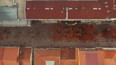 Kraljevo-city-buildings-and-streets-in-Serbia-in-autumn,-aerial-top-down-view