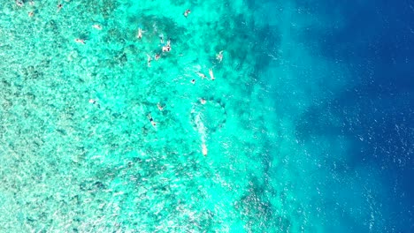 Turistas-Buceando-Y-Explorando-Hermosos-Arrecifes-De-Coral-De-Maldivas