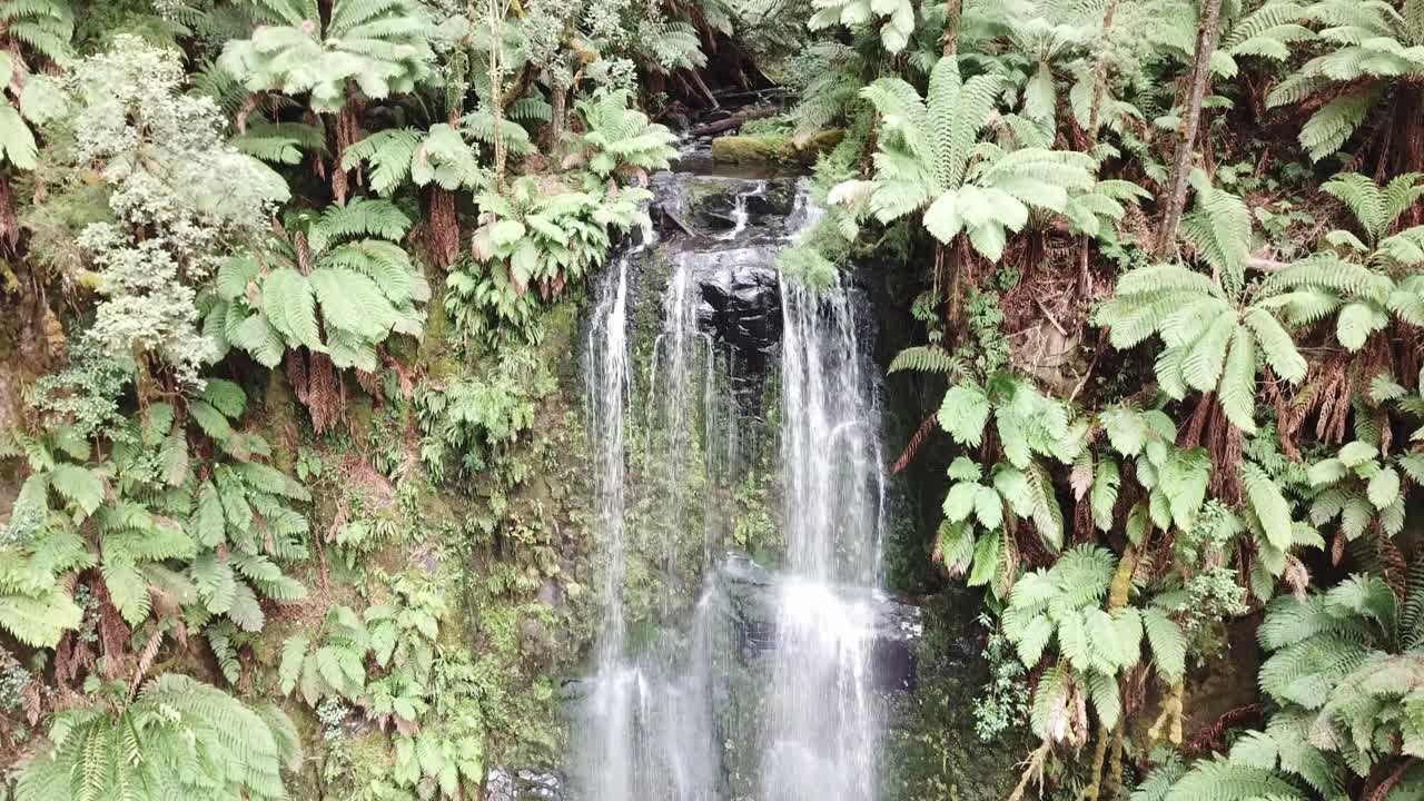 toma aérea de un dron de una cascada de selva tropical con helechos por todas partes
