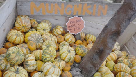 pequeñas calabazas expuestas en cajas de madera a la venta con gráficos de precios