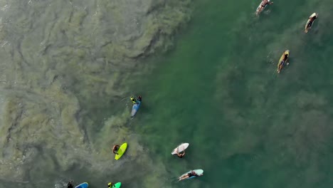 Surfer-Auf-Ihren-Surfbrettern-Erlernen-Den-Freizeitsport-Surfen-In-Ufernähe