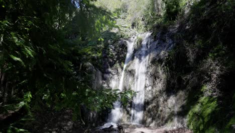 waterfall in a green forest in big sur, california