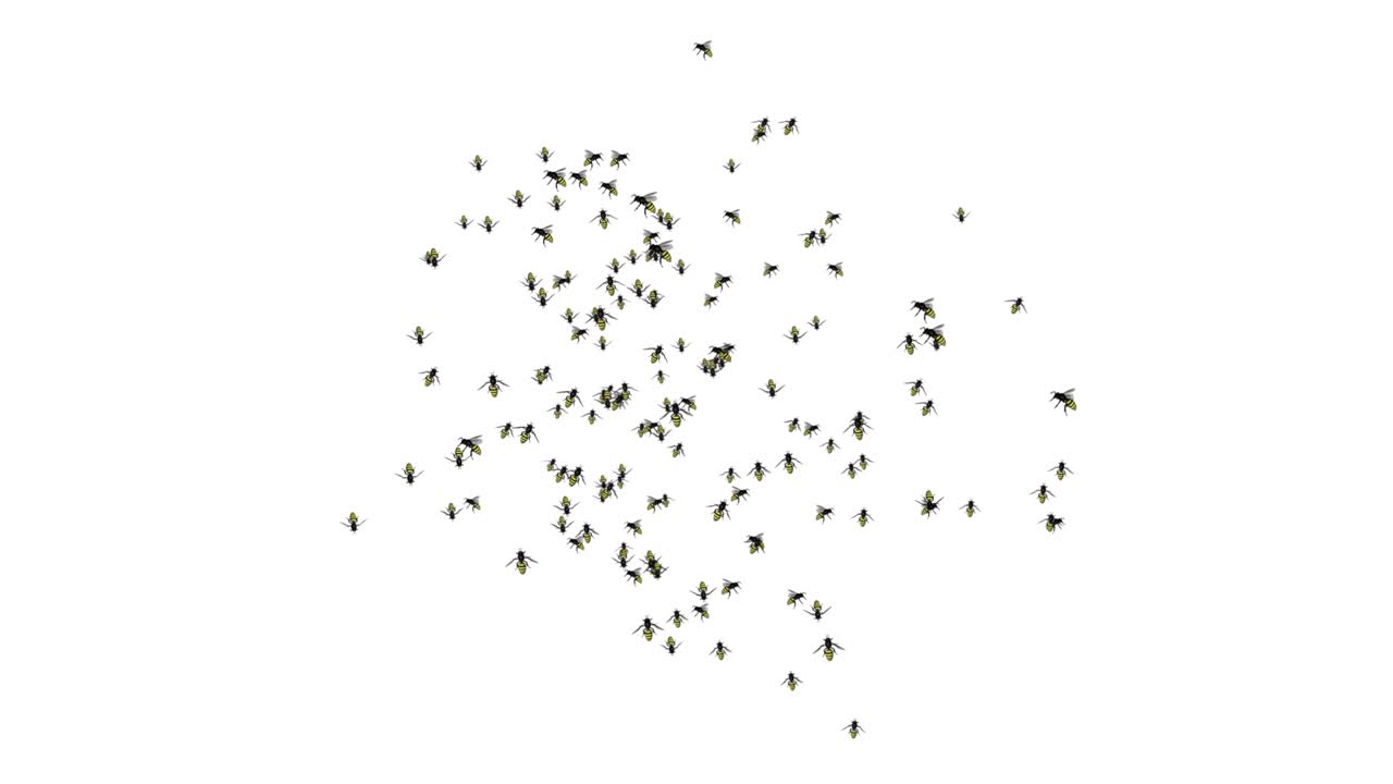 벌 곤충이 루프 배경에서 화면 위를 날아다니는 녹색 화면 애니메이션