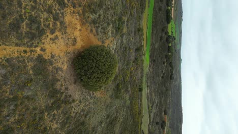 Berg-In-Spanien-Mit-Landschaftsdarstellung,-Vertikales-Luftaufnahmevideo