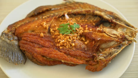 fried sea bass fish with garlic on plate