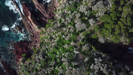 Aerial-top-down-over-a-rugged-cliff-coastline-slides-to-the-right-to-reveal-cliffs-and-rough-oceans-on-the-opposite-side,-in-Eden-Australia